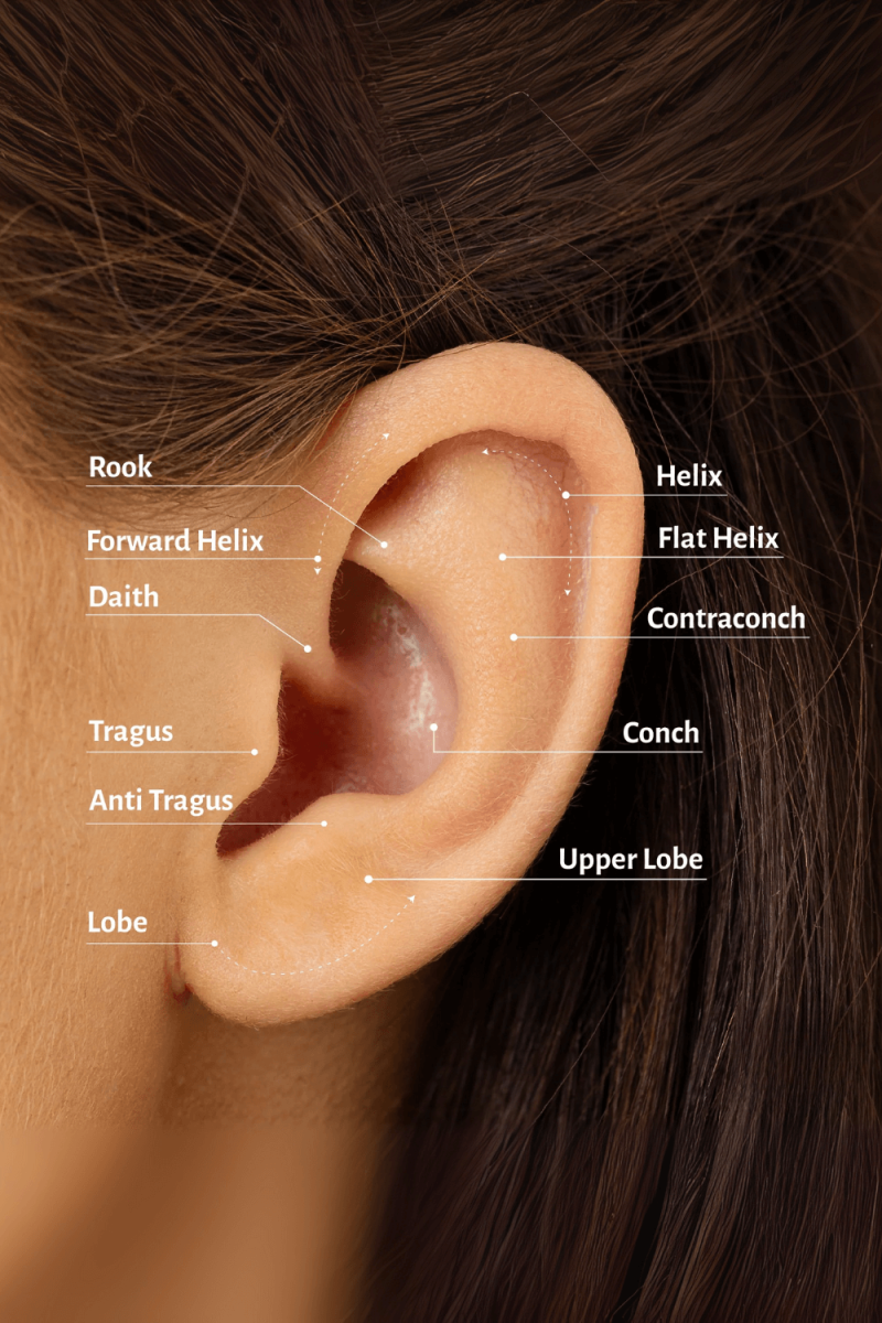 Piercing din Aur 14K, model Bila Semisfera 3mm cu Charm Mobil CZ, Labret, Prindere Filet, Spate Plat